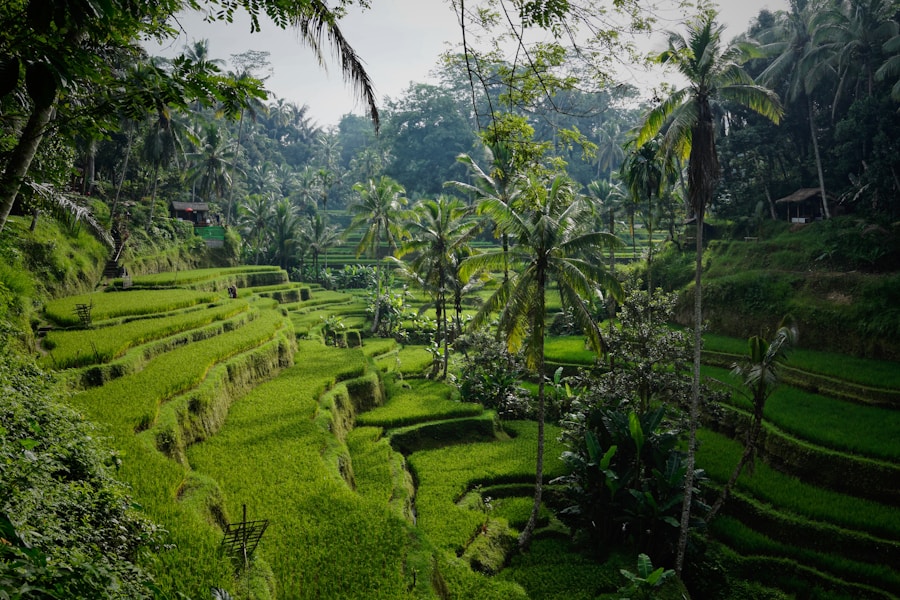 Bali temple